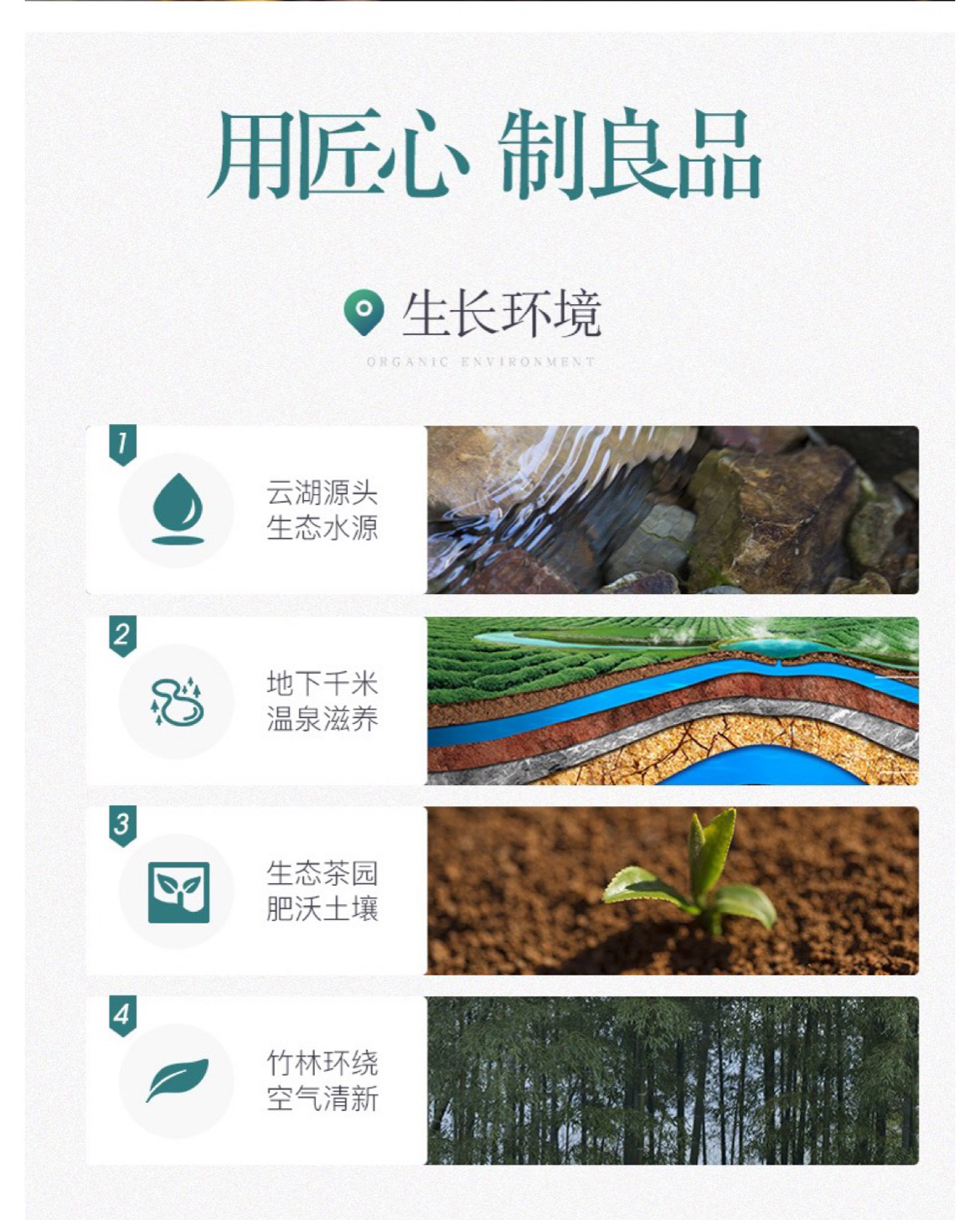 早春9红茶_11.jpg