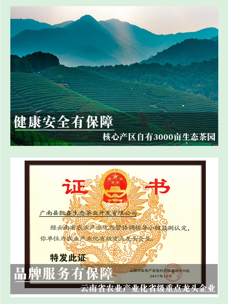 明前春茶2_07.jpg
