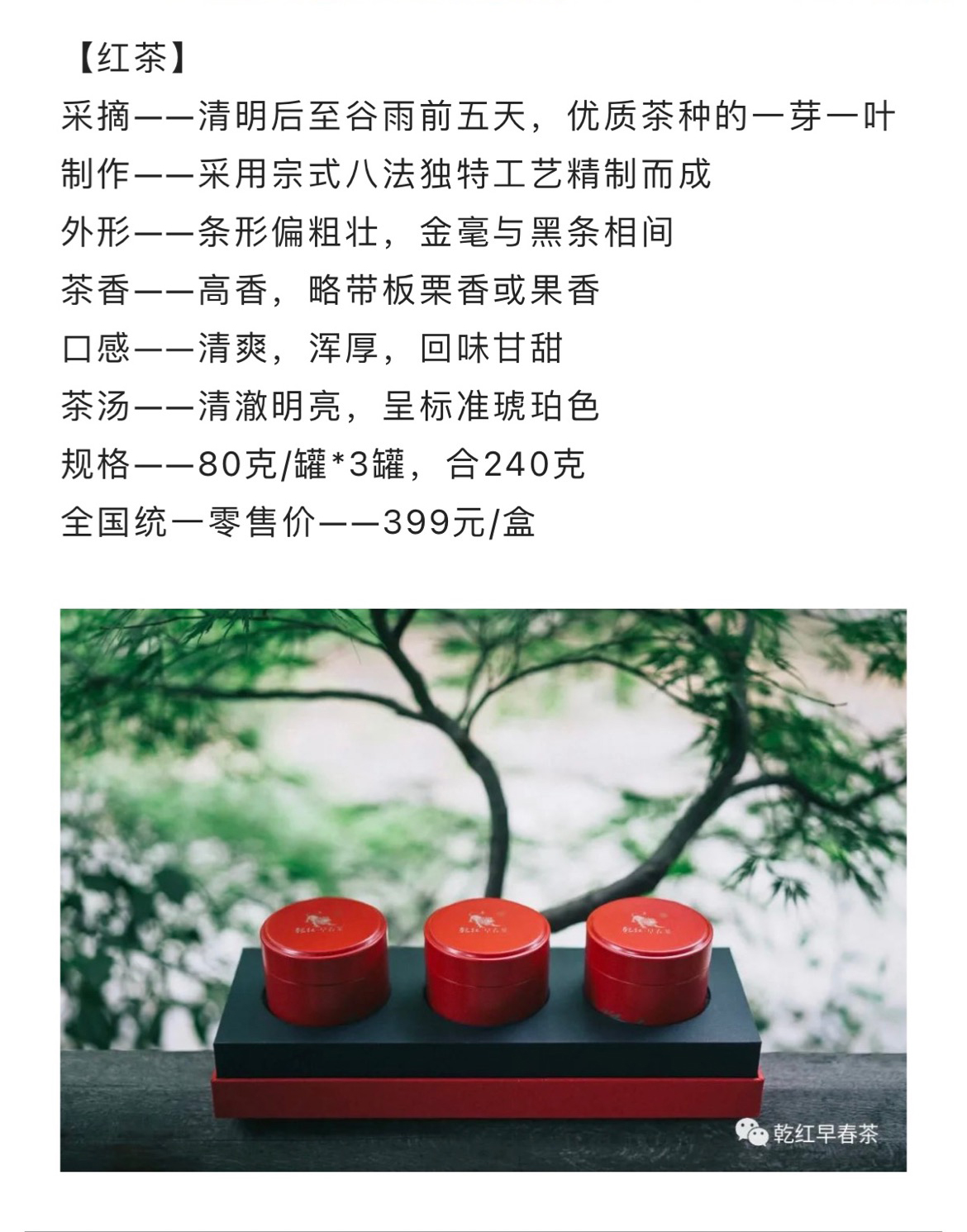 雄狮6红_04.jpg