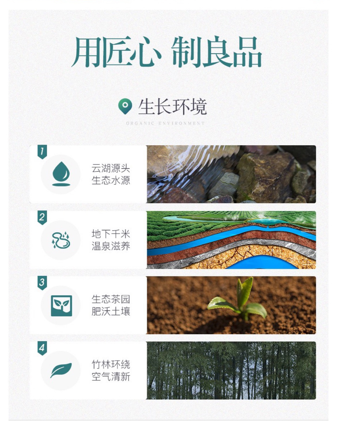 雄狮9红_09.jpg
