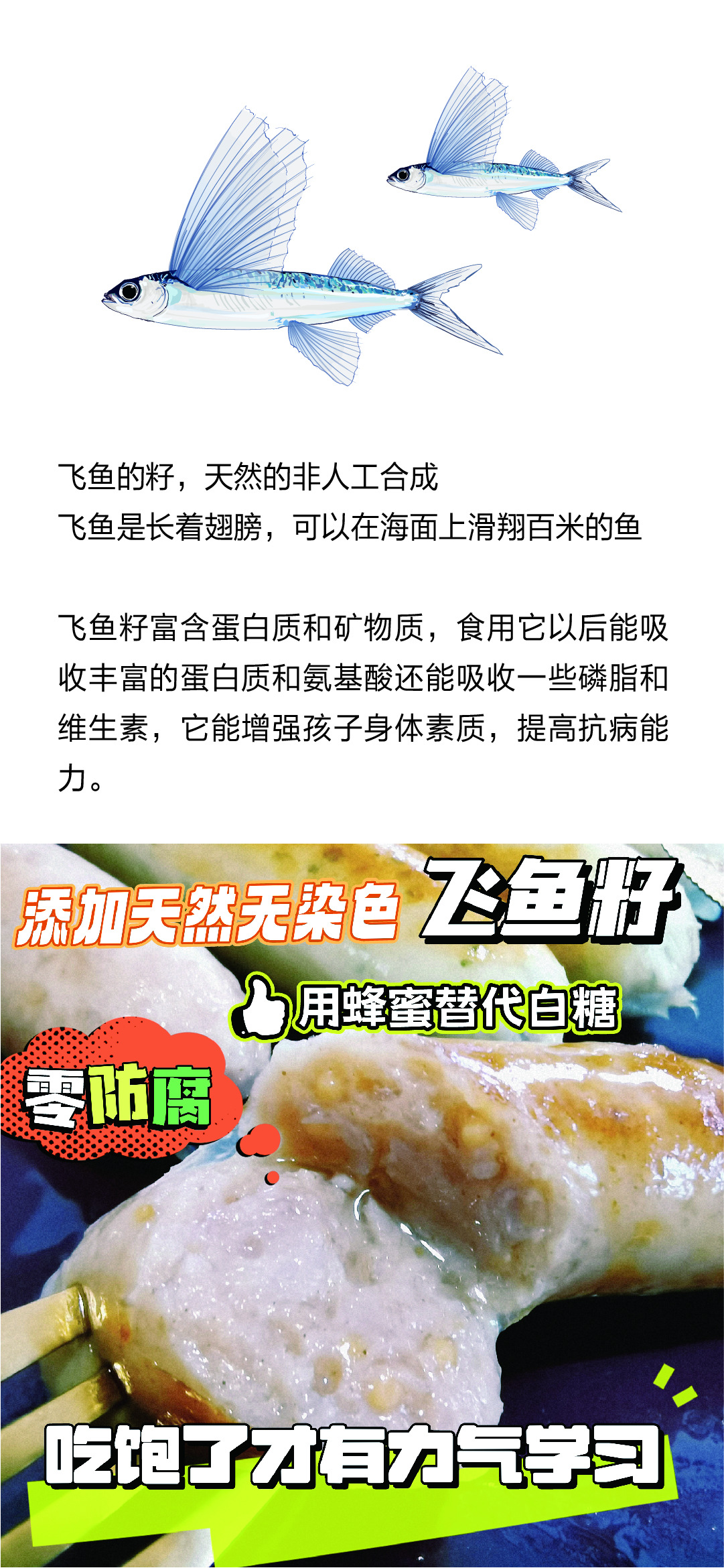 飞鱼籽-04.jpg