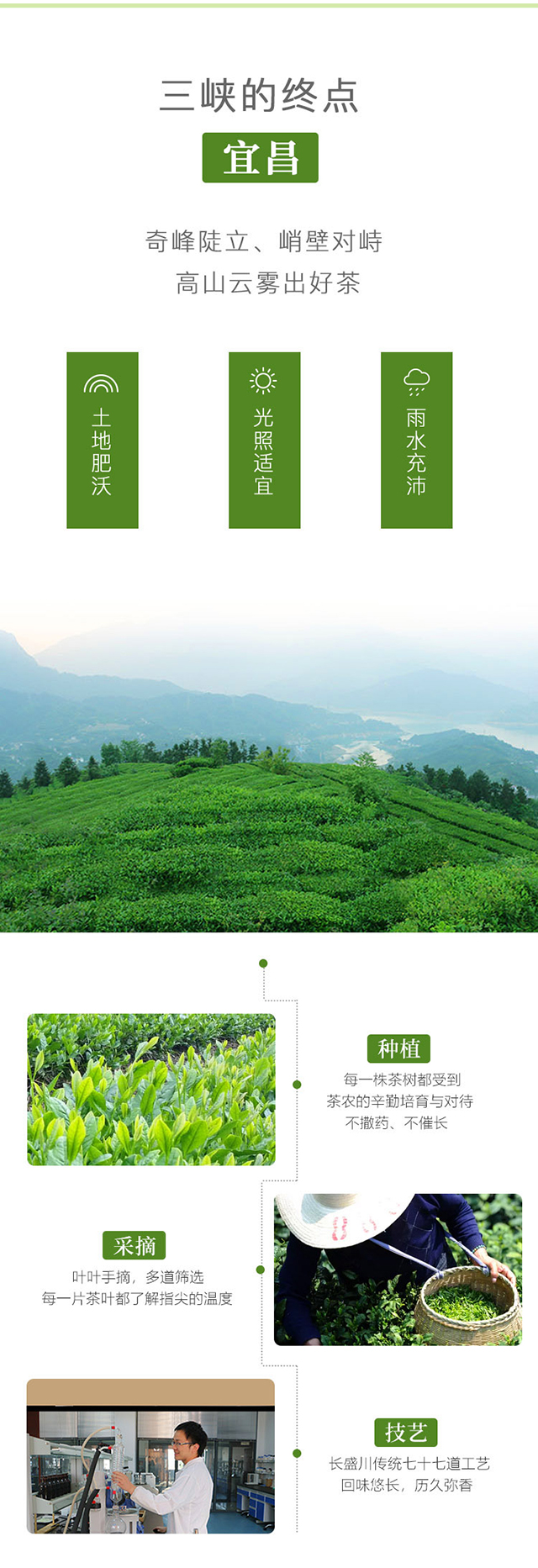 敬茶农·茉莉黑茶_04.jpg