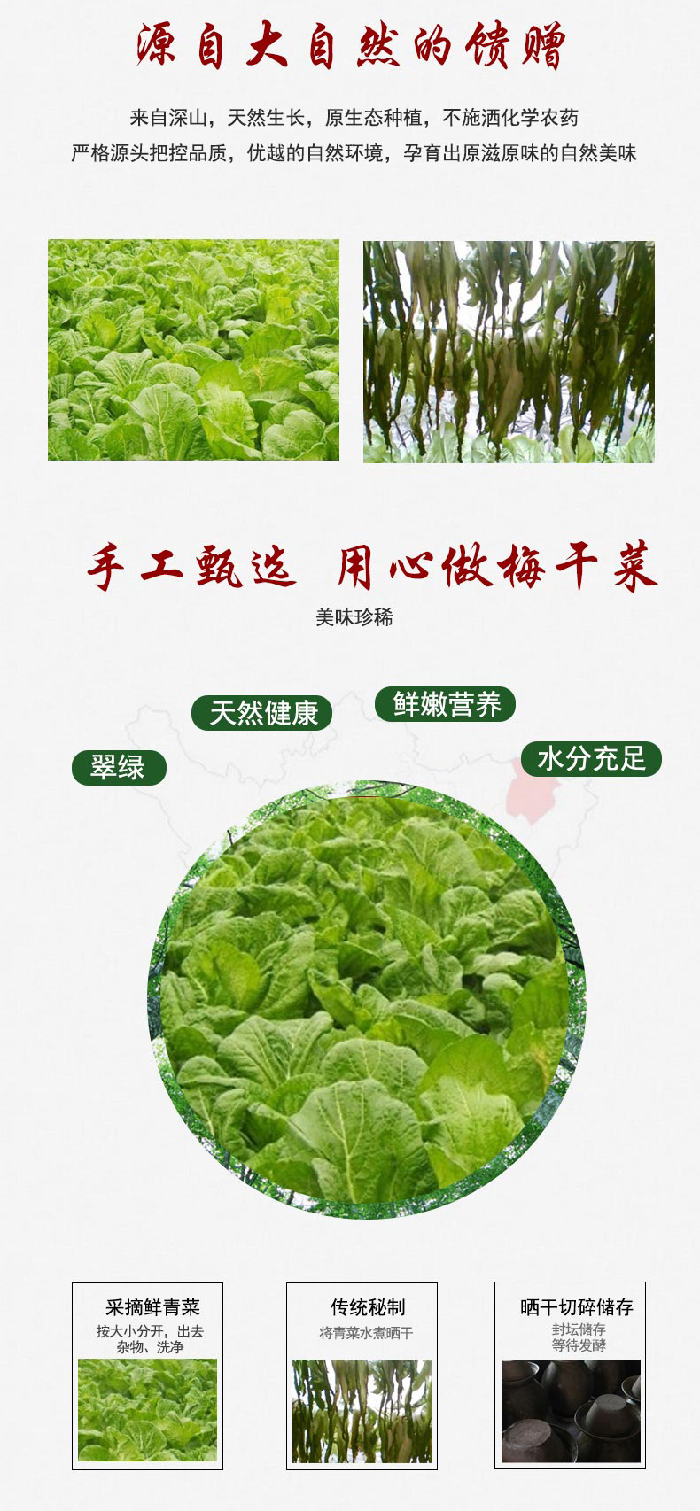 雪里蕻梅干菜2_03.jpg