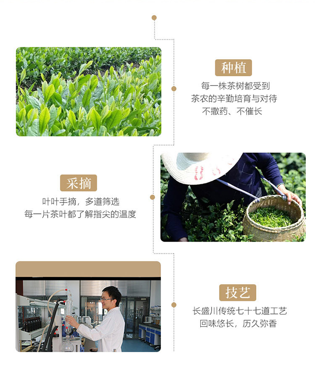 敬茶农·金桂十月_06.jpg