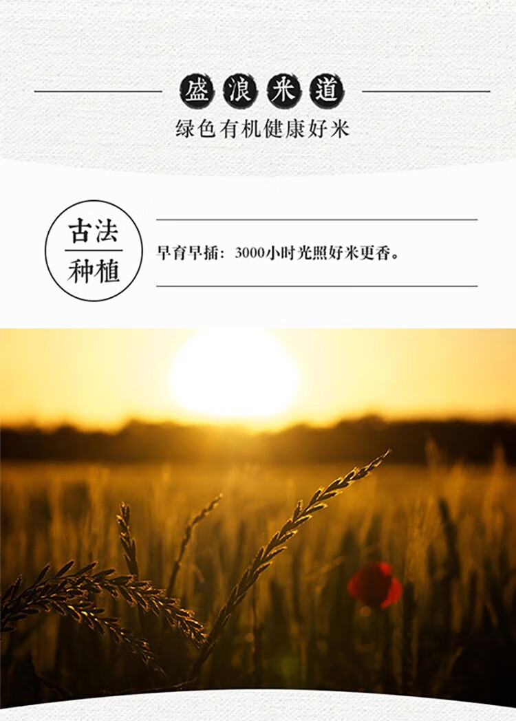 bc9f586c8c3ba278.jpg