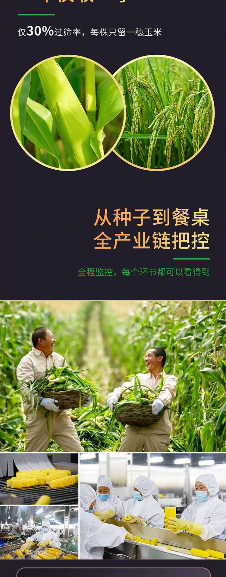 北纬黑750_09.jpg