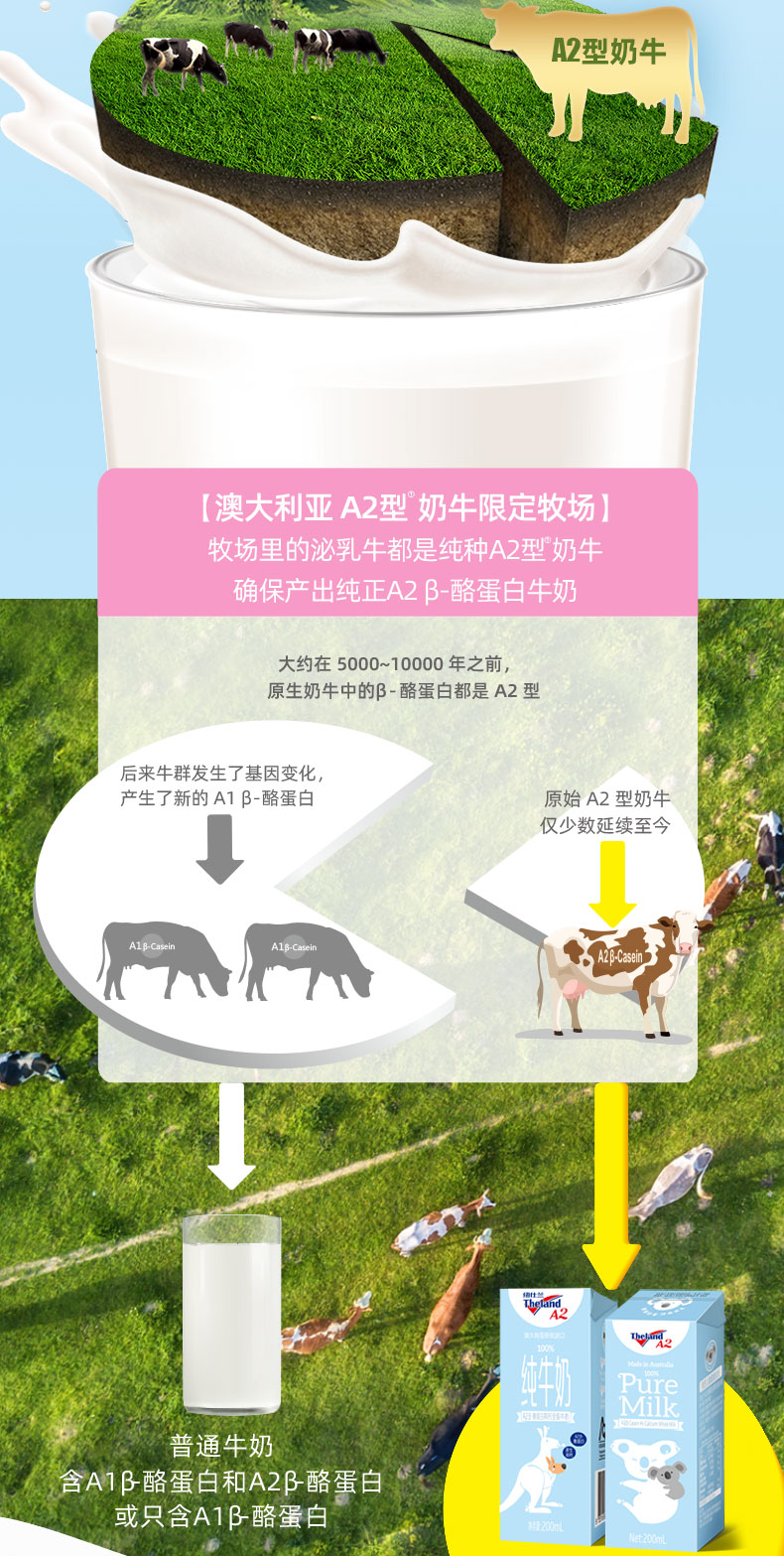详情图片_05.jpg