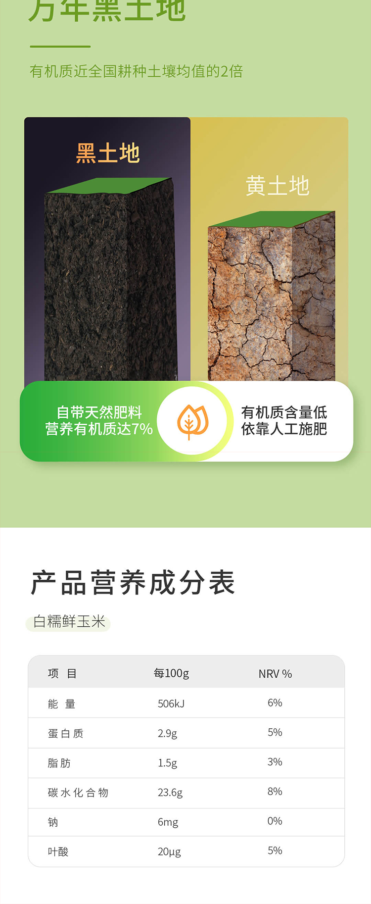白糯750_09.jpg