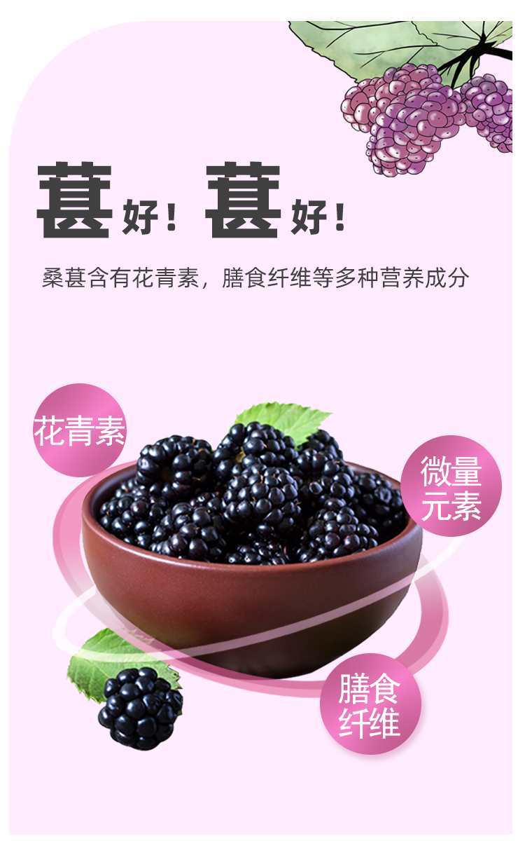 桑葚详情页_03.jpg