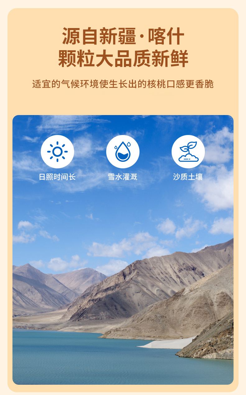 烤核桃_06.jpg