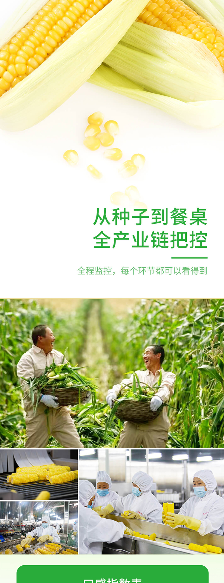 0915-北纬黄糯切图_09.jpg