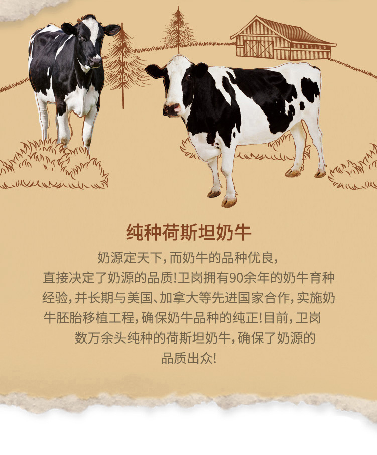 48c51b11-d59e-4439-8dcc-6dfe60b6b8e4_06.jpg