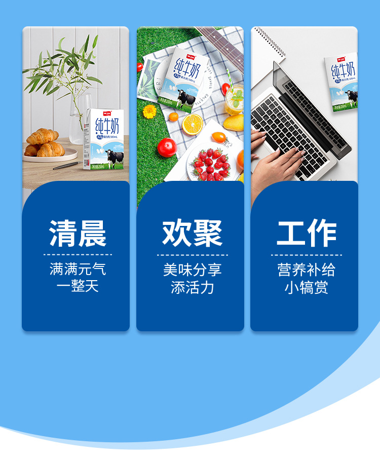 标准砖纯牛奶详情页1(1)_05.jpg