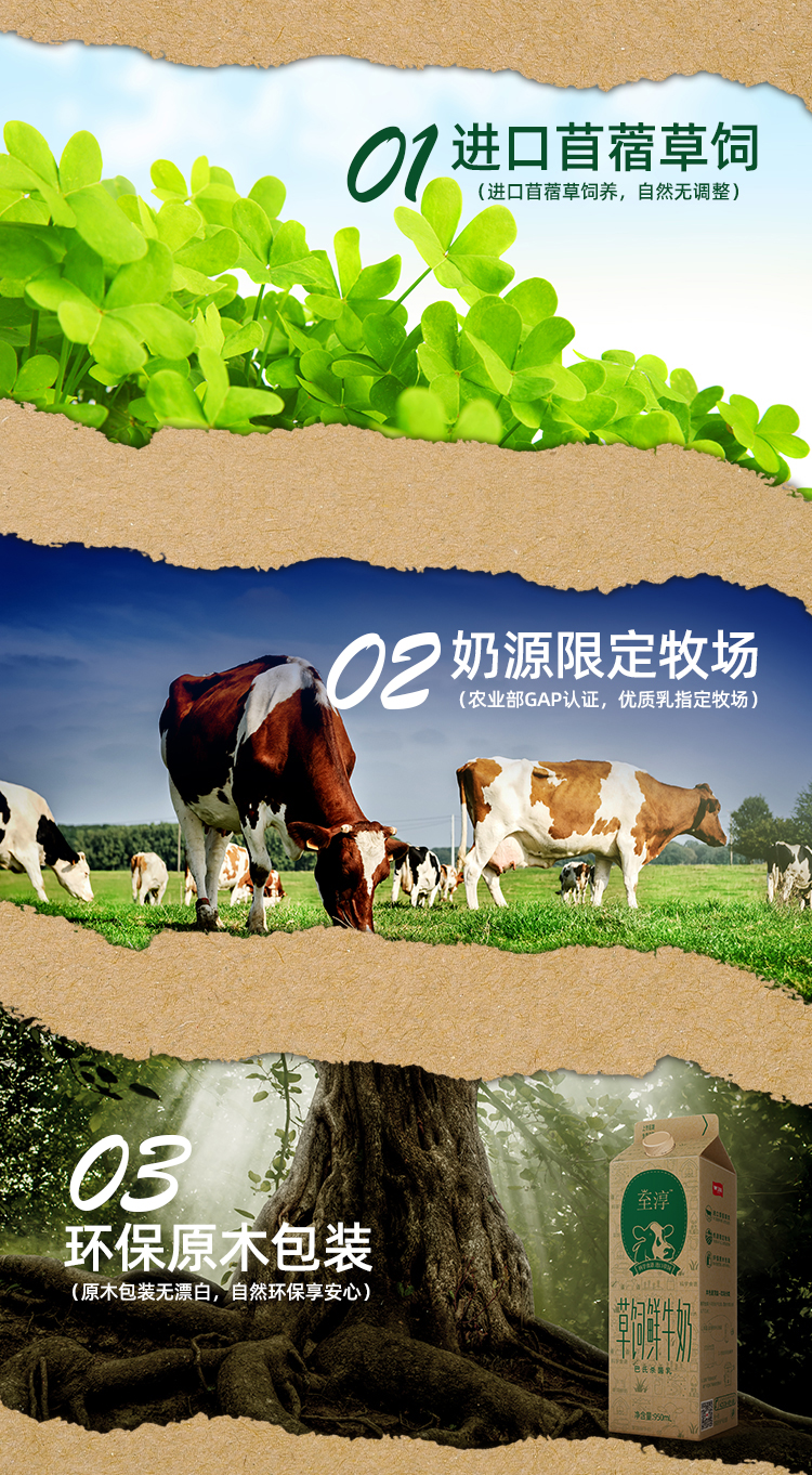 详情页_03.jpg