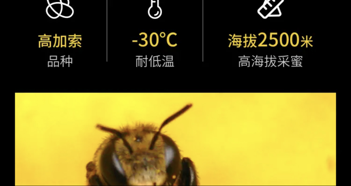 c074e1dad3a895baa35b4bce8b6b790 拷贝.jpg