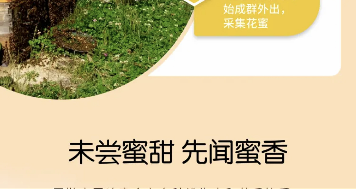 072dadfda615ff0fc31e1b698cc721f 拷贝.jpg