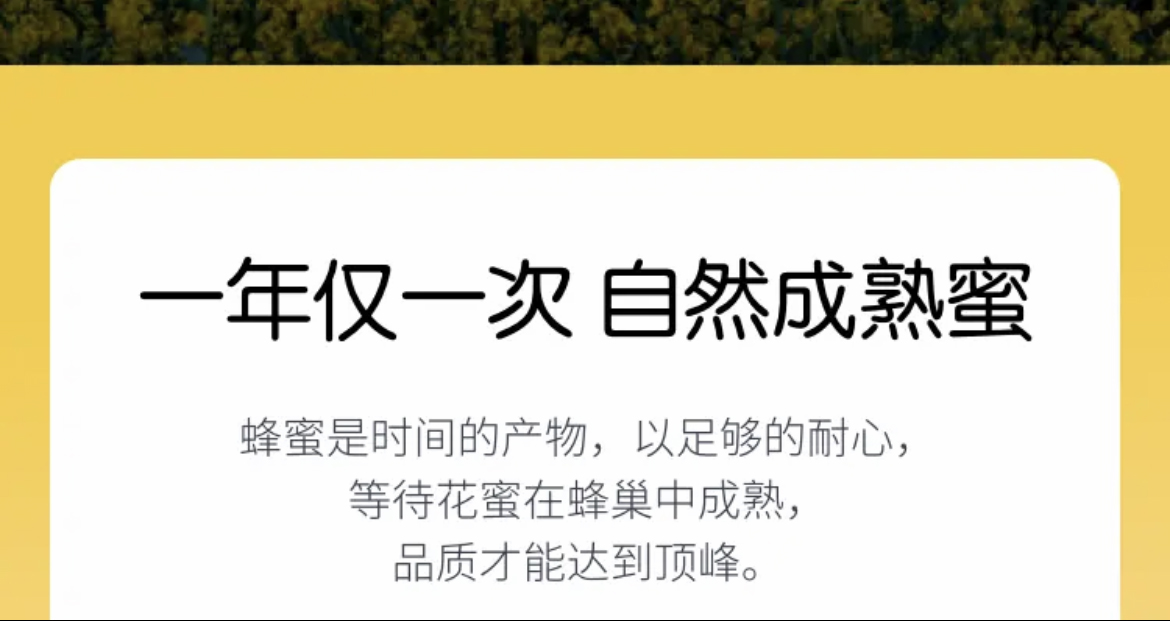 31919a7e744c562e0b5c864600066bd 拷贝.jpg