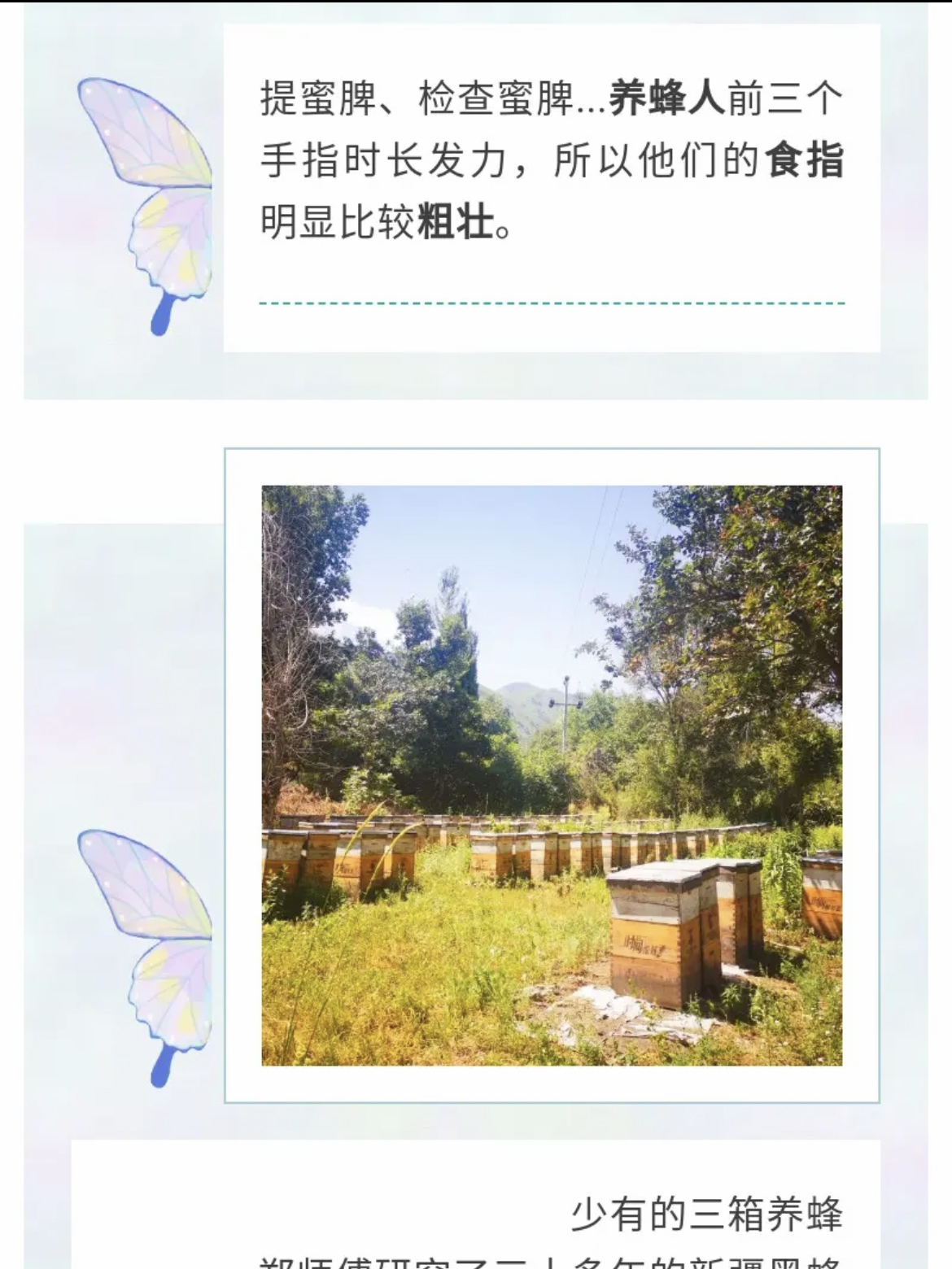 a2e37b01feb8ca5880e2bfc4af123d5 拷贝.jpg