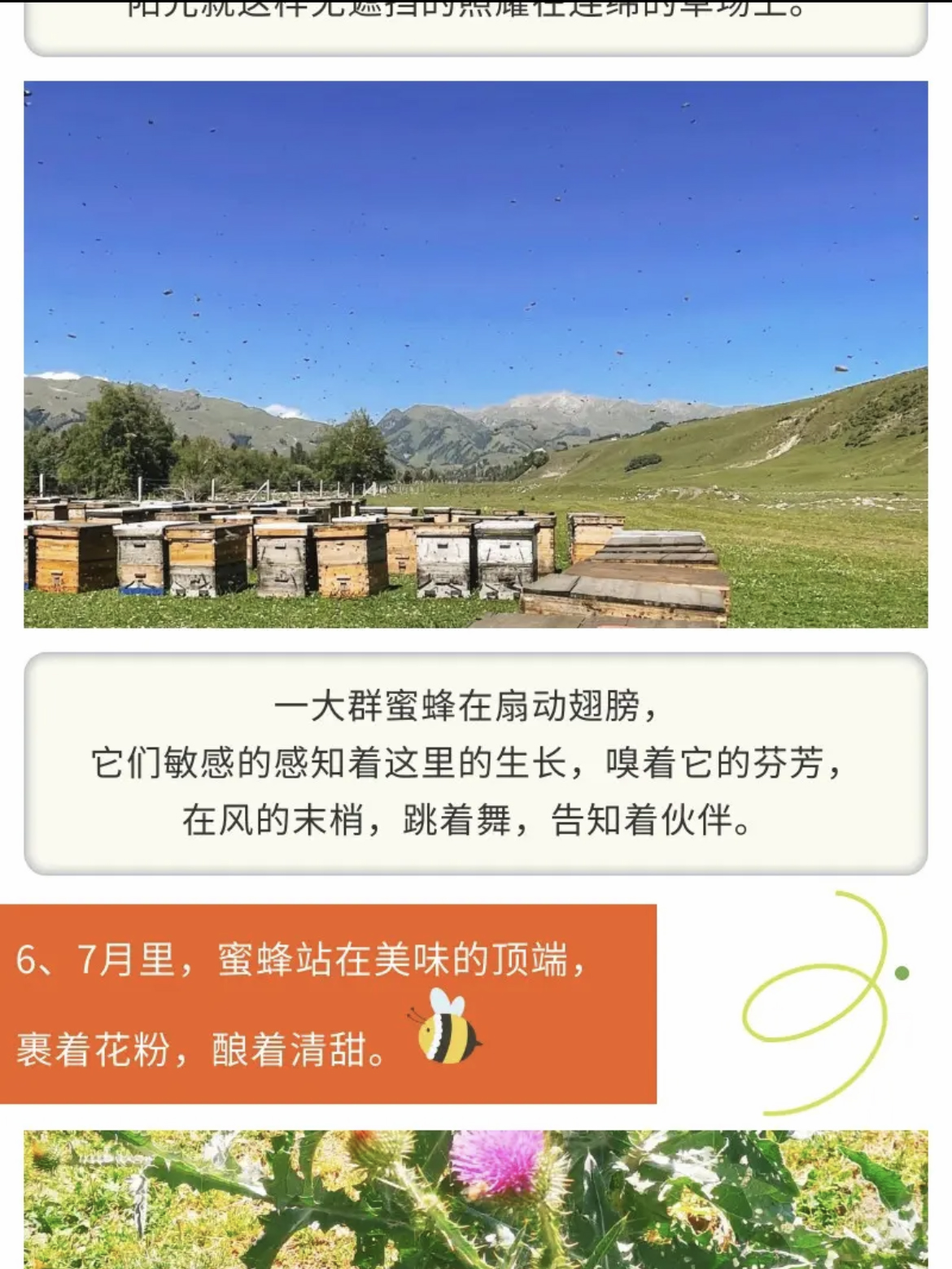 2e364f460a2aba63e3c9d307d017c8d 拷贝.jpg