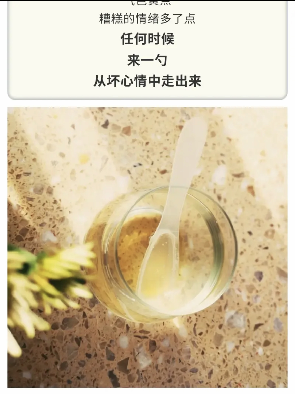 1ef1a9287ba24ecadd154d6ca867244 拷贝.jpg