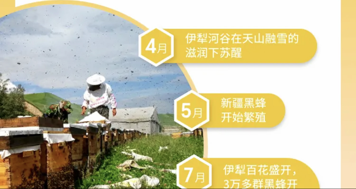 5e52bc248db4704af1a1fcd070a4c60 拷贝.jpg