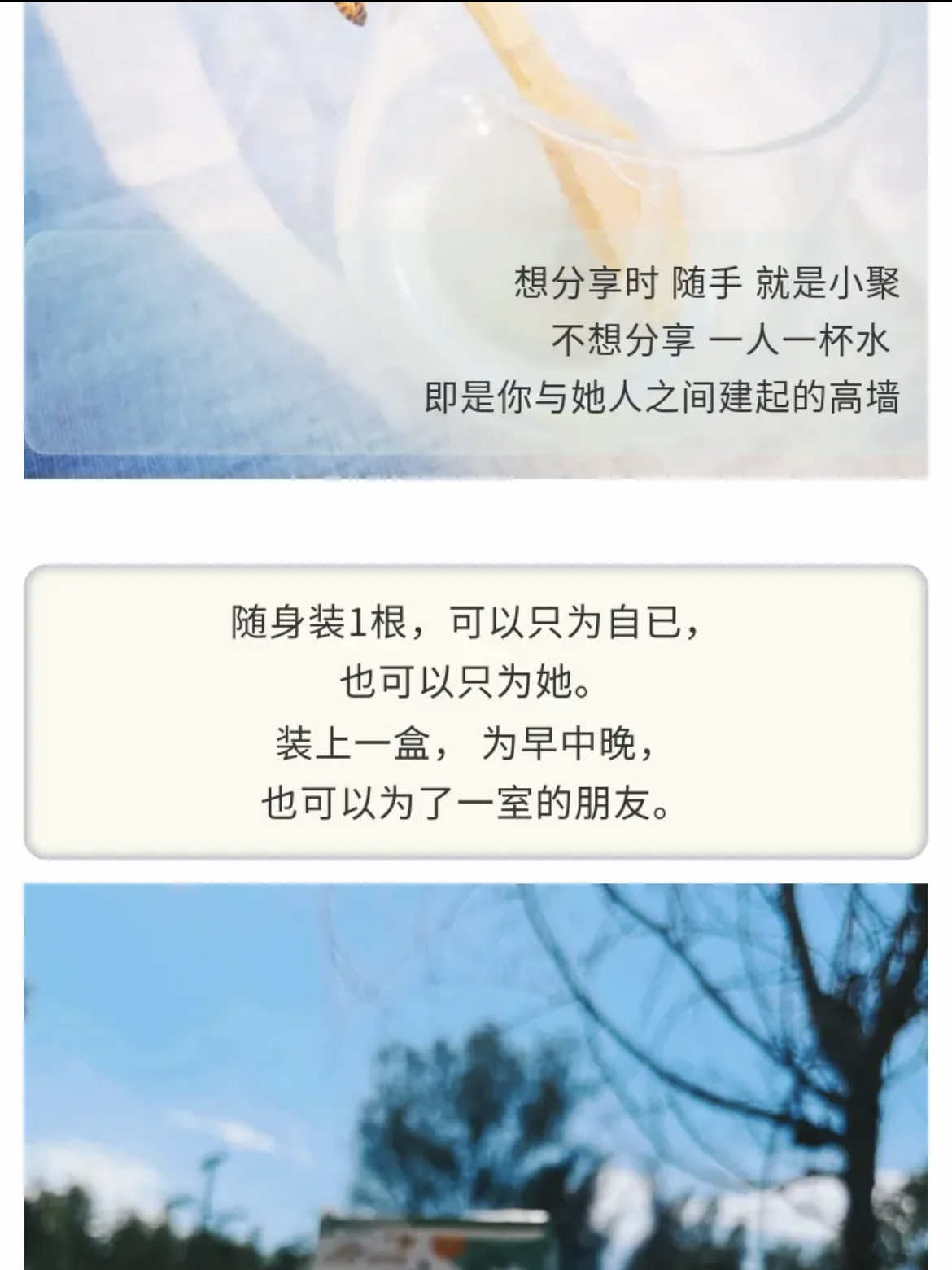 26152557cb672142e59233af1fdc36c 拷贝.jpg