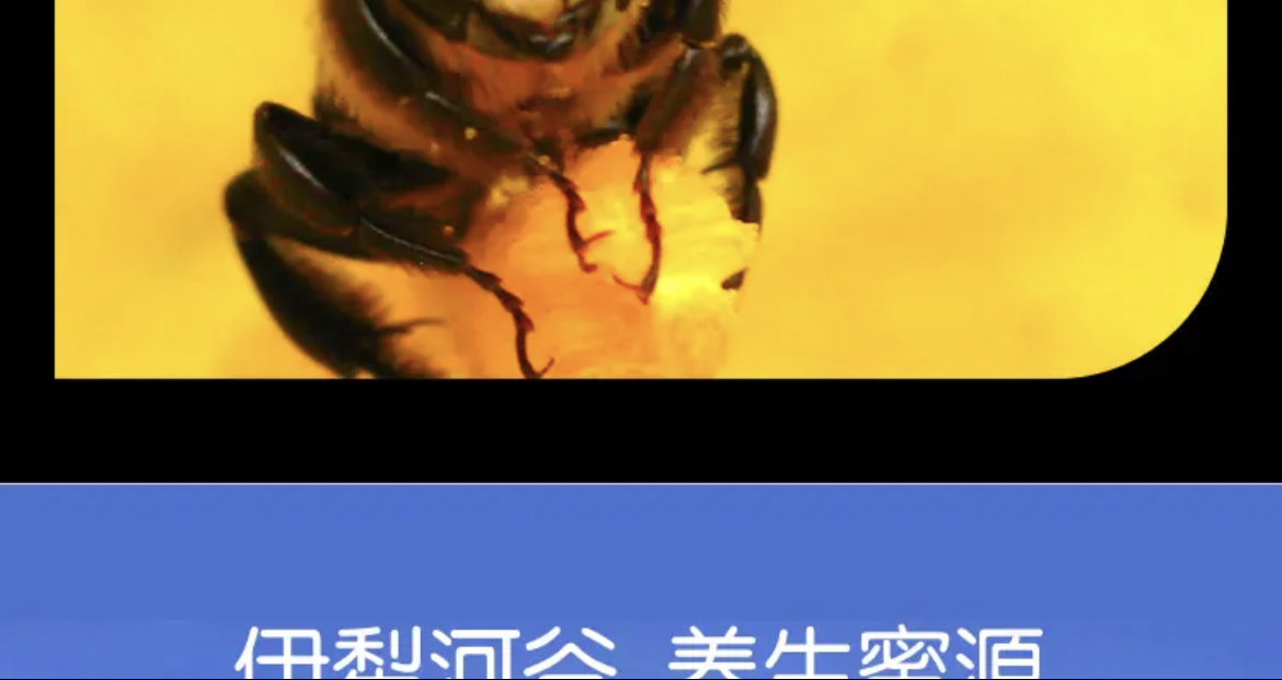 3e537baabf4a3fae3665d704044b7e7 拷贝.jpg