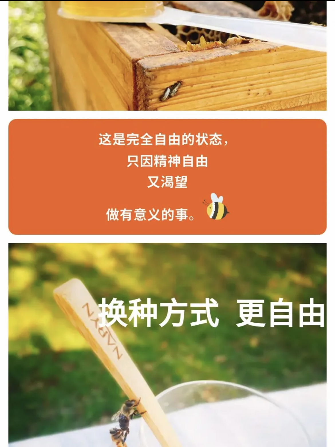 cf1a974142deaa380dd951bac321408 拷贝.jpg