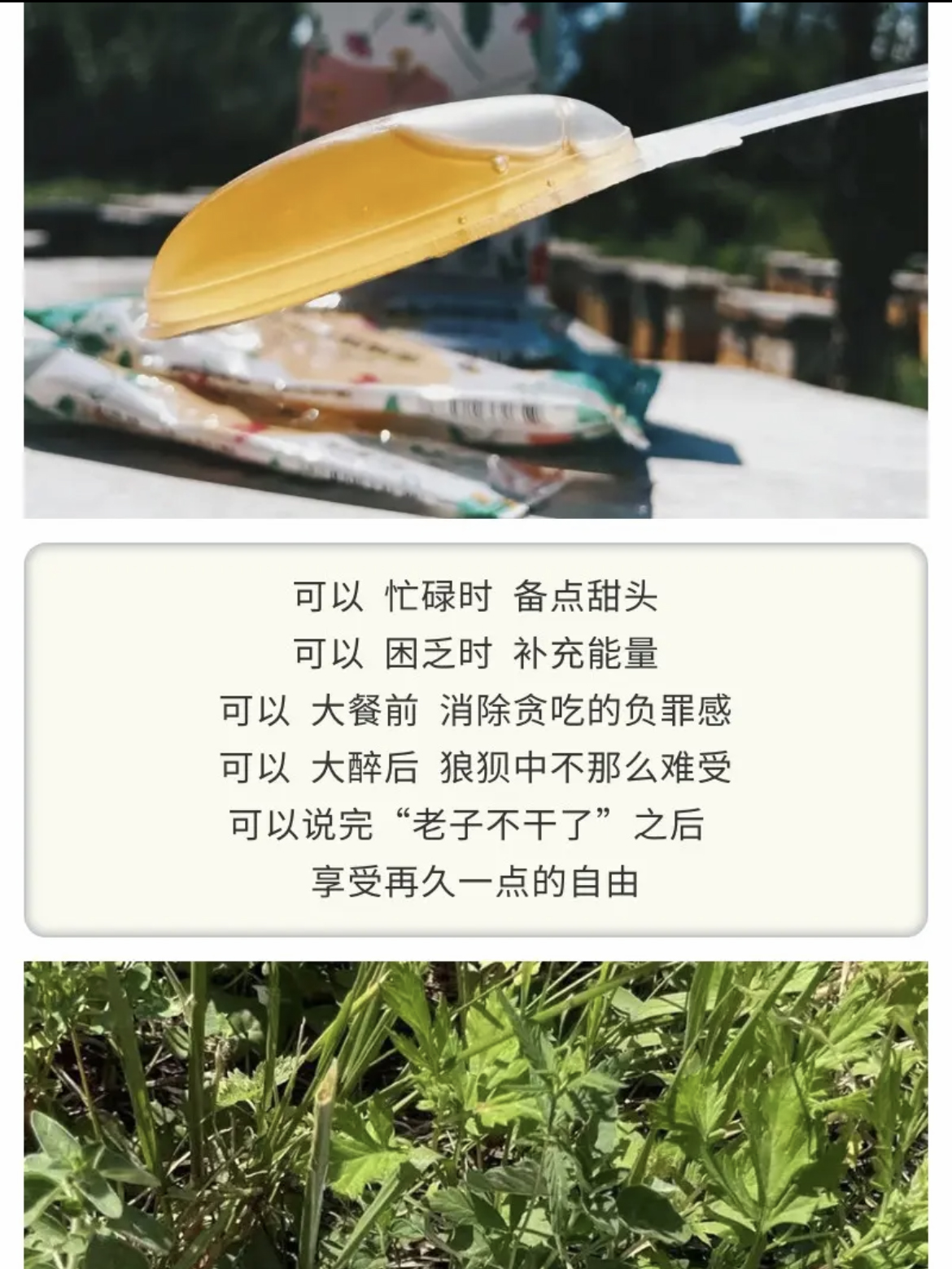 a503057c1d8dd3f661565fb3d4667e5 拷贝.jpg