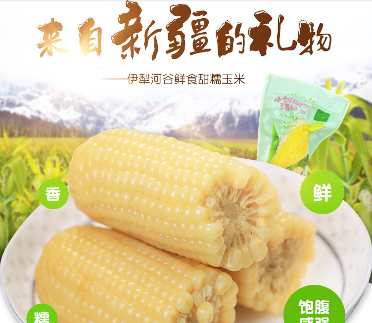 新疆天畔白糯玉米，8根大果穗/件