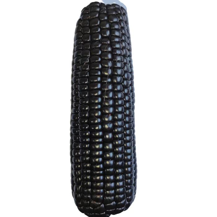 新疆天畔【黑糯玉米】8根大果穗/件