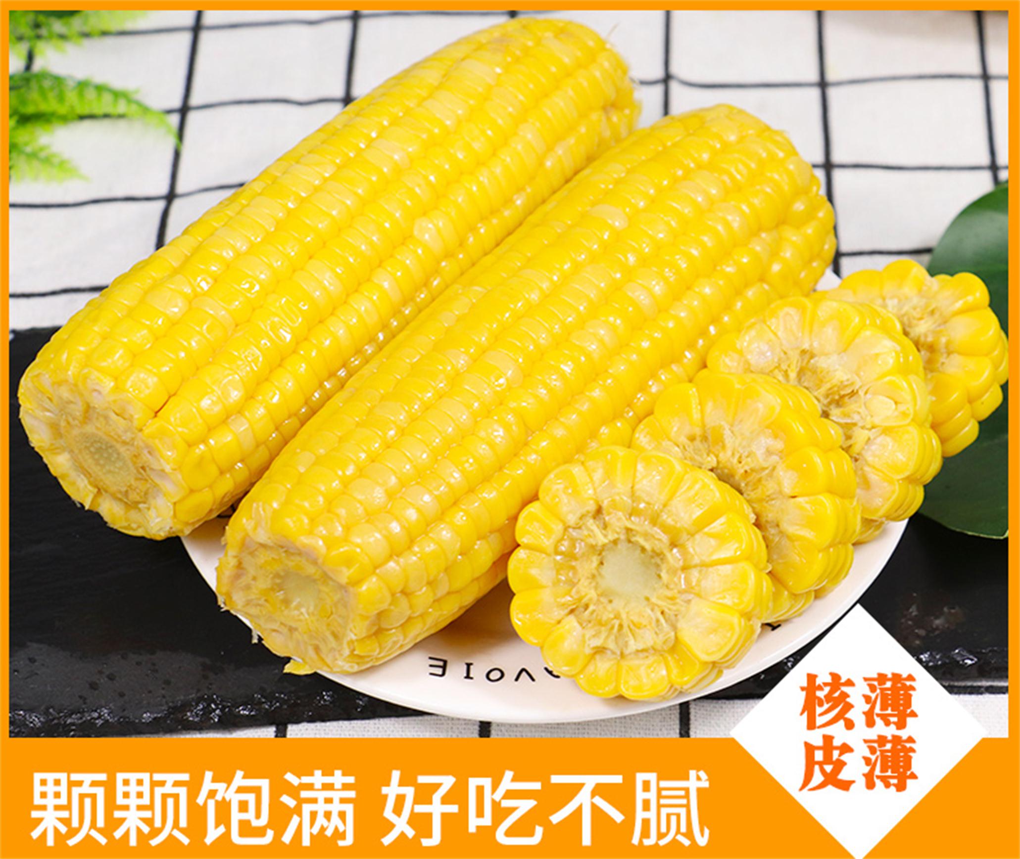 新疆天畔【甜玉米】6根大果穗/件