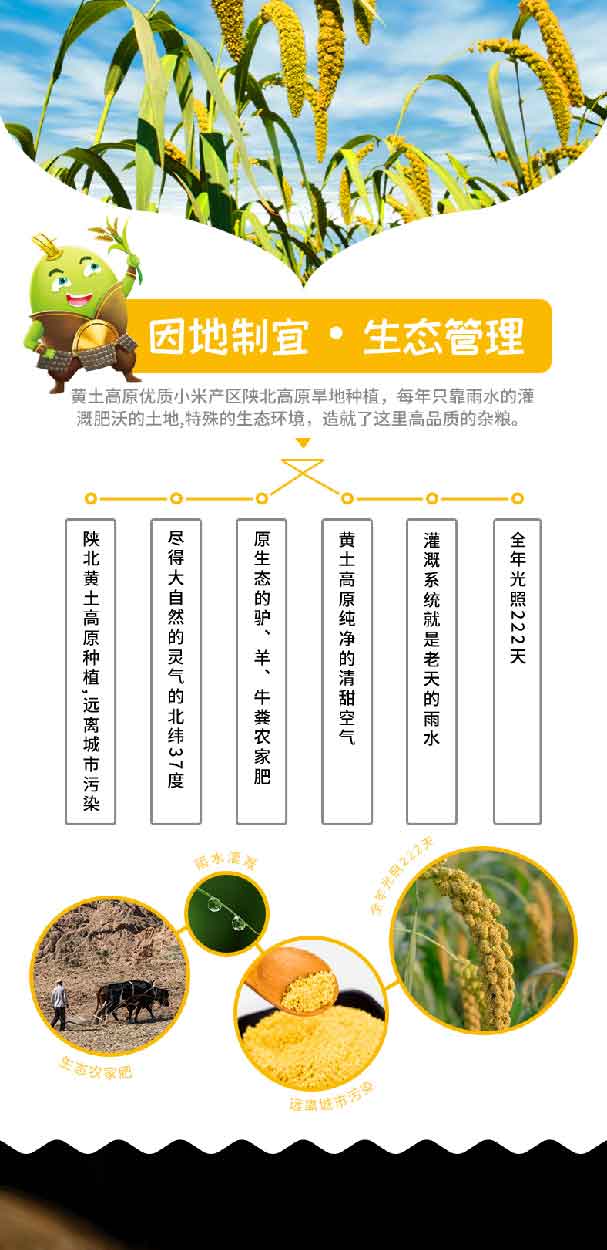 小米_03.jpg