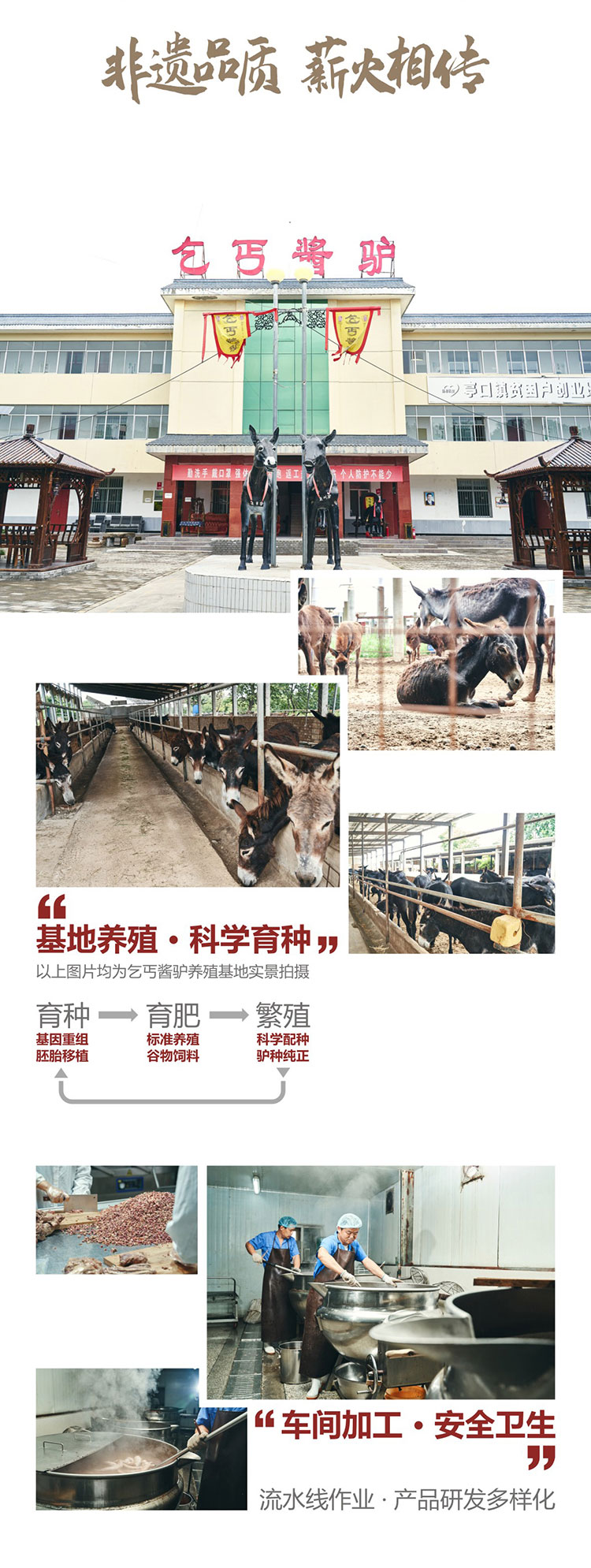 乞丐酱驴--酱汁驴肉_02.jpg