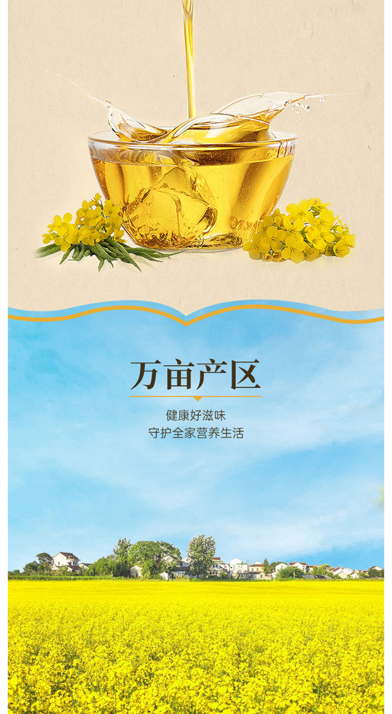 详情4.jpg