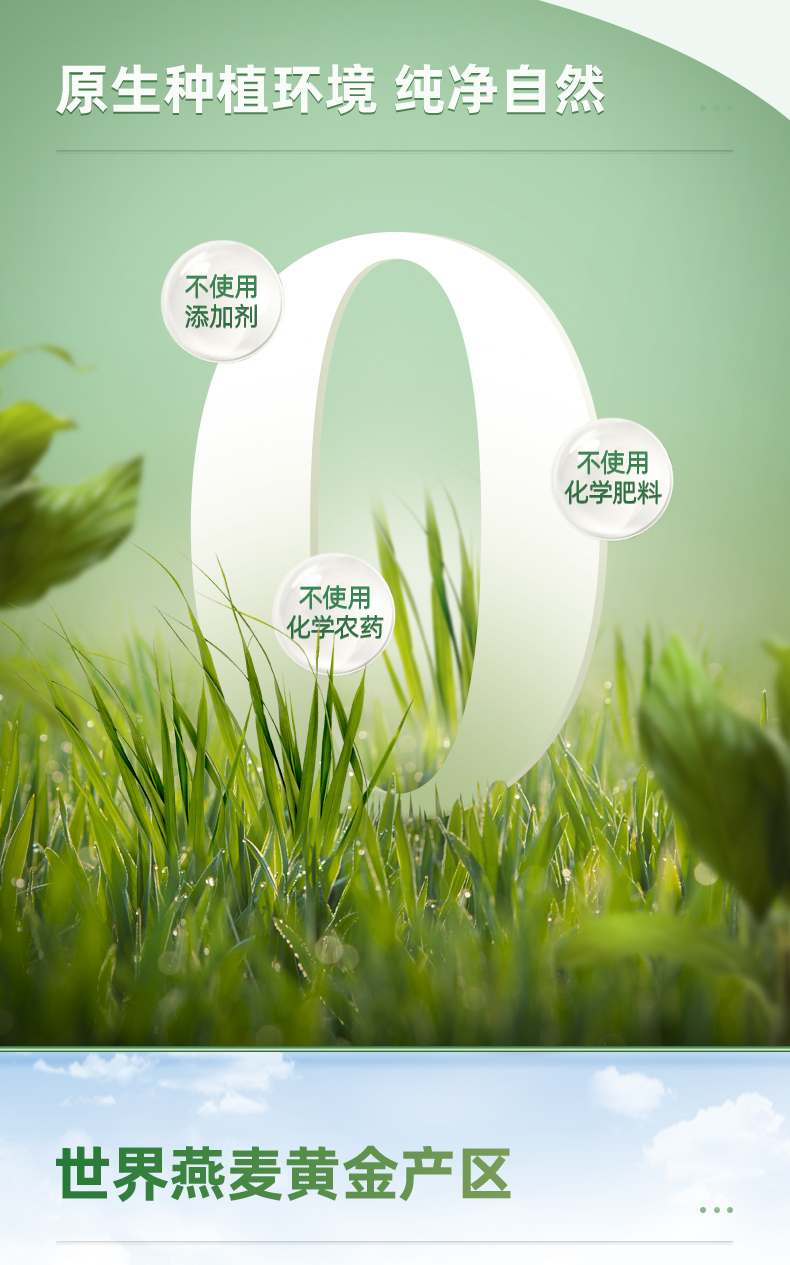 有机纯麦1000g桶装.1_05.jpg