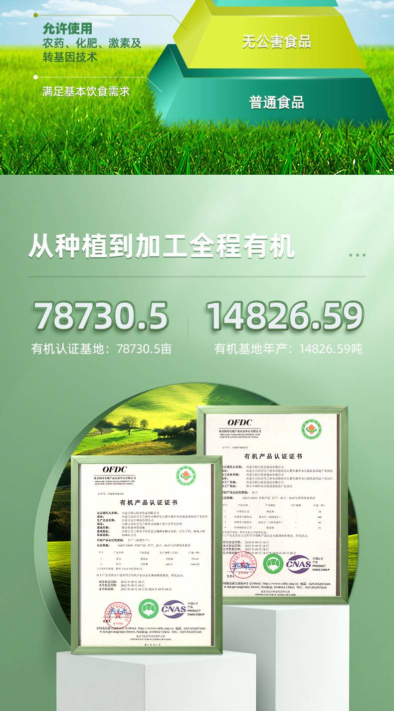 有机纯麦1000g桶装.1_03改.jpg