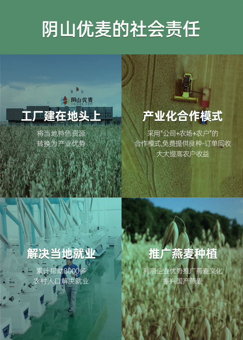 有机纯麦1000g桶装.2_06.jpg