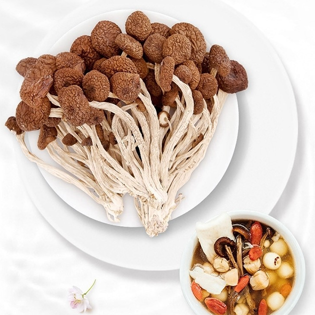 茶树菇
