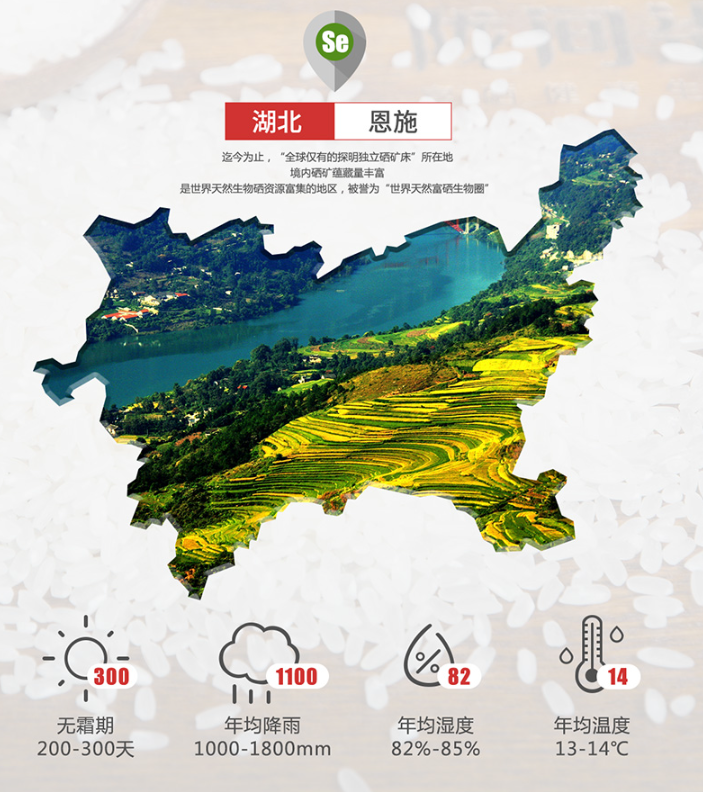 微信图片_20240822150726 - 副本.png
