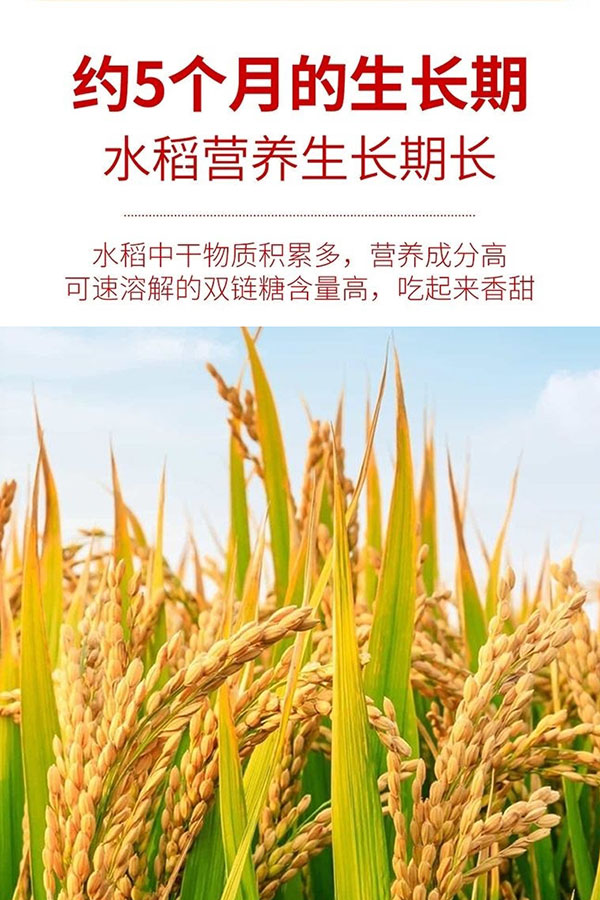微信截图_20240808155705.png