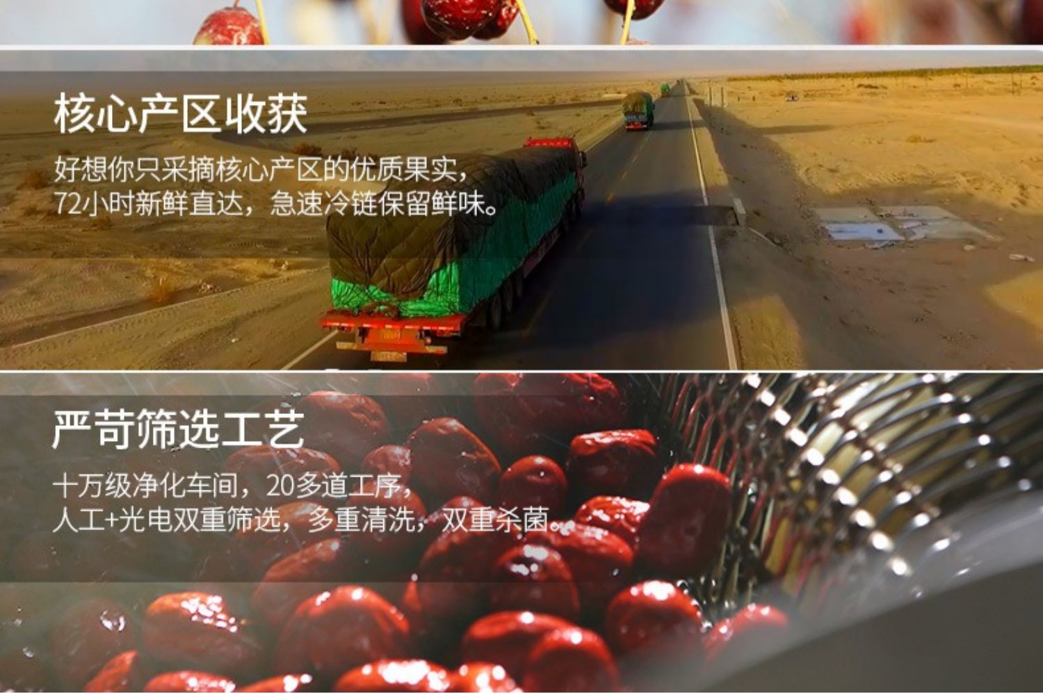 4output790好想你无核枣.jpg