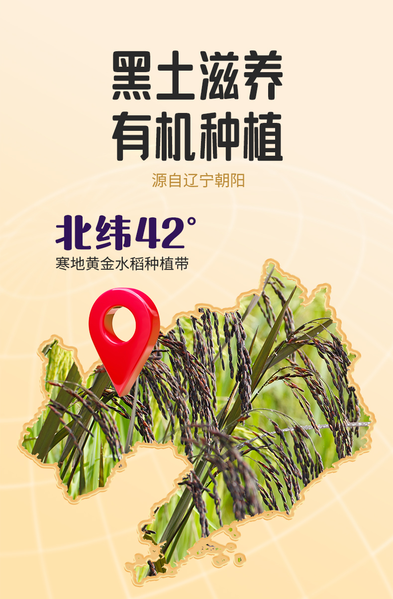 4output790燕之坊有机珍贡黑米.png