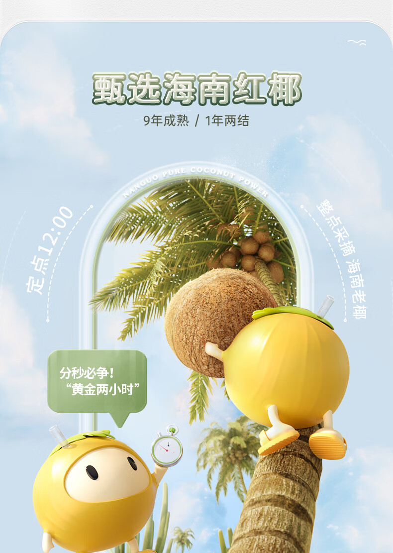 12output790南国椰子粉.jpg
