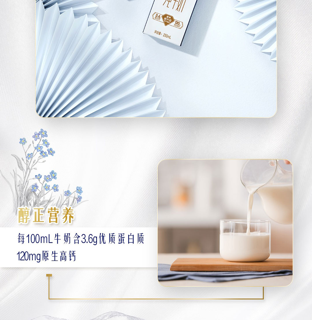 2output790特仑苏纯牛奶苗条装.png