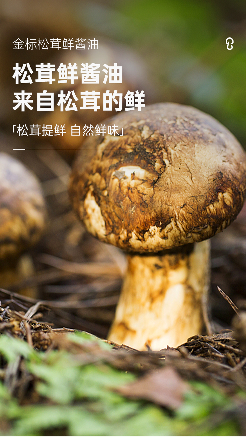 5output790松鲜鲜松茸鲜酱油2瓶.jpg