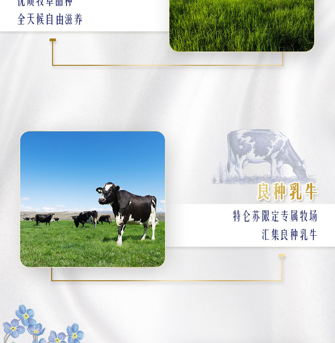 3output790特仑苏纯牛奶苗条装.png
