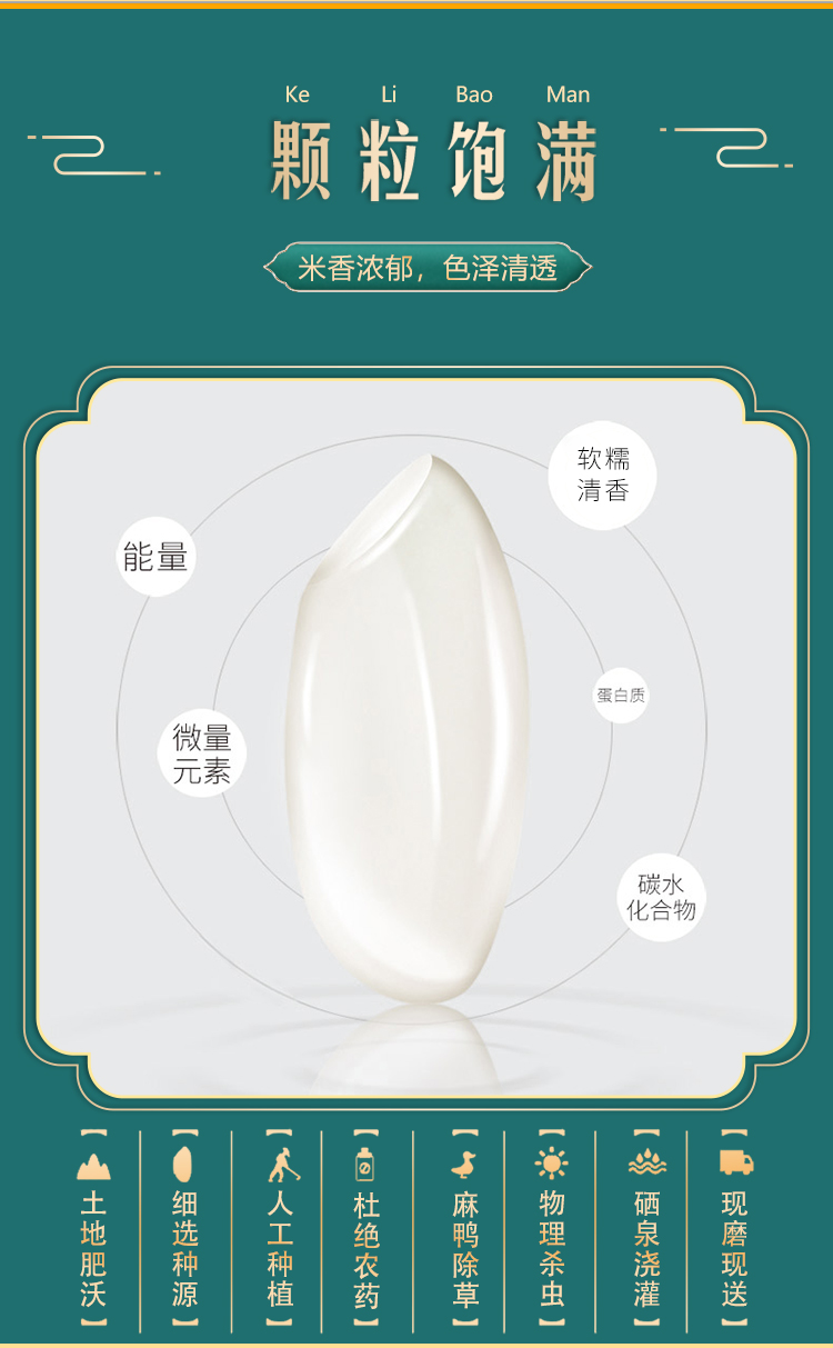 FP119_03.jpg