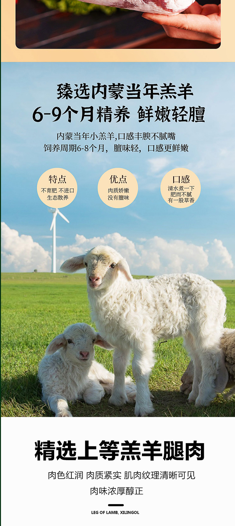羊肉礼包498型_04.jpg