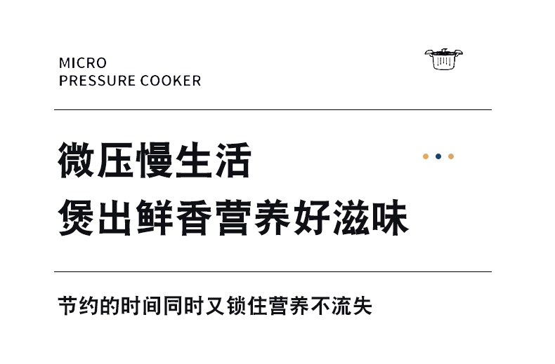 新款304微压锅详情_12.jpg